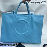 Designer 2 Sizes Mini Shoulder Bags Soft Leather Handbags Women Handbag Crossbody Luxury Tote Fashion Shopping Pink White Purse Satchels Bag